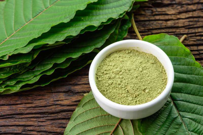 Clearing Up Kratom: 5 Myths About Kratom For Continual Ache, Debunked